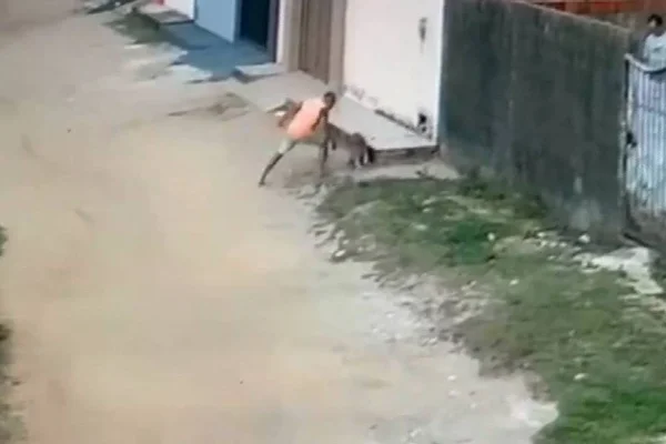 Cenas fortes: suspeito de matar cachorro a facadas é preso