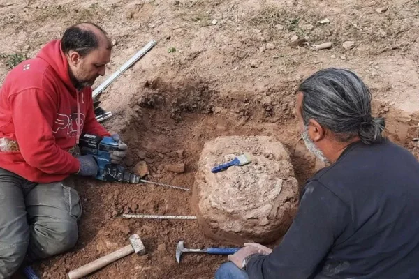 Dois dos pesquisadores desenterrando o fóssil de um parente extinto do tatu - Metrópoles