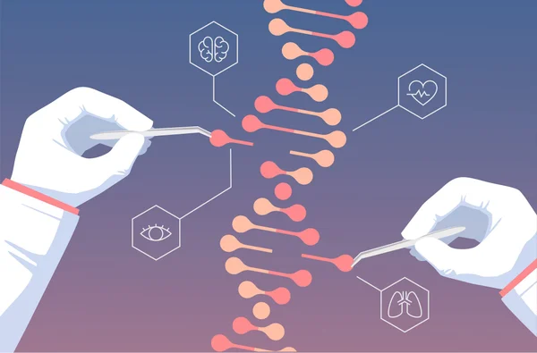 Ilustração mostra processo de edição genética do CRISPR terapia gênica