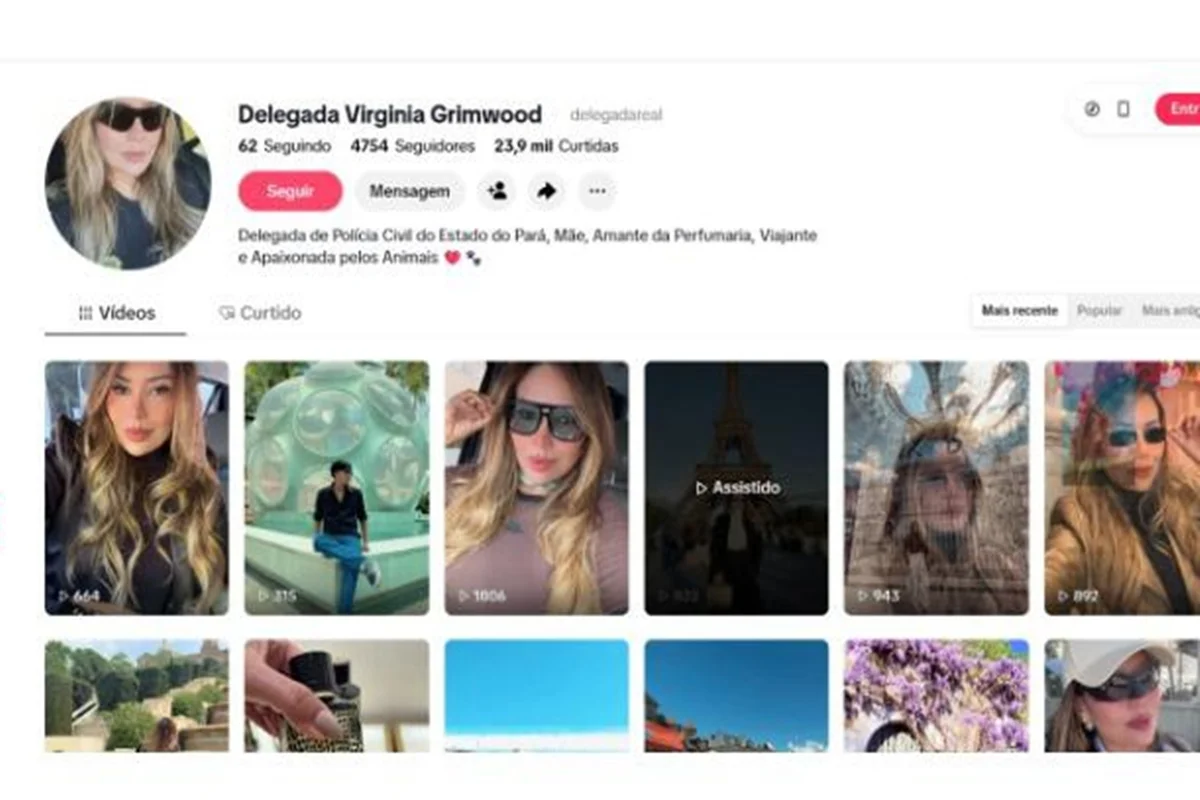 Perfil da delegada nas redes sociais Perfil da delegada nas redes sociais