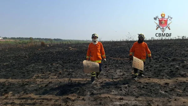 Imagem colorida de bombeiros atuando em uma área com queimadas - Metrópoles