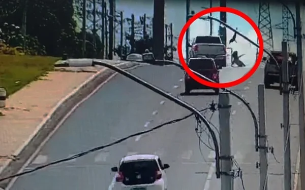 Vídeo mostra atropelamento de mãe e crianças em avenida