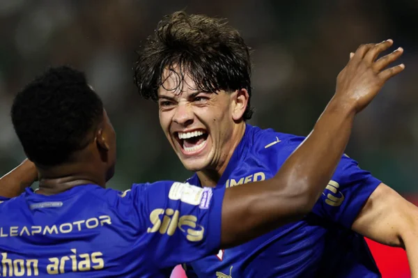 Brasileirão: veja os melhores momentos desse sábado (24/10)