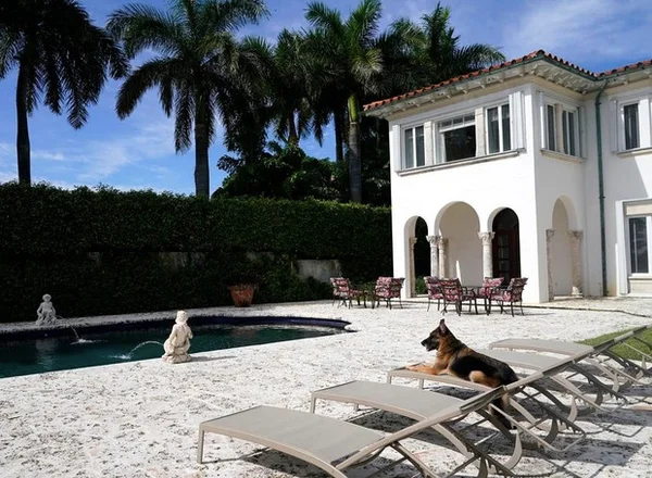 casa-cao-milionario