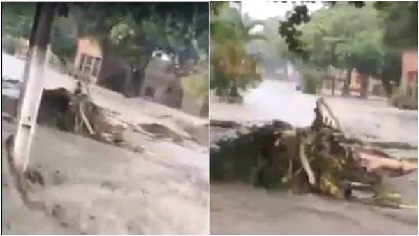 Barragem se rompe em propriedade rural do interior de MG; vídeo