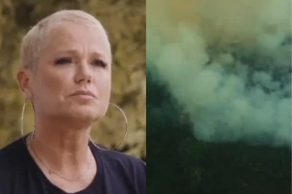 Xuxa amazonia em chamas
