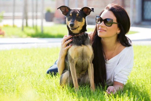 Remédio de verme para pets: quando e como dar?