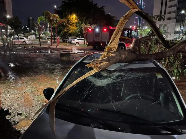Árvore atingiu carro no Setor Hoteleiro Norte