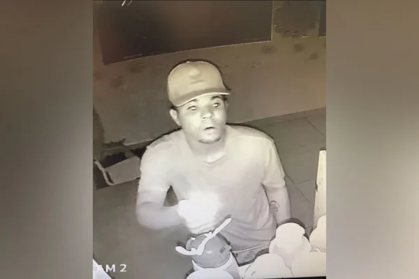 Um assaltante invadiu uma creche comunitária, na madrugada desta quinta-feira (21/3), em São Sebastião. O criminoso quebrou a cerca do local, burlou o alarme e levou televisores, brinquedos, lenços umedecidos, além de desfalcar o abastecimento de água e alimentos que seriam utilizados para alimentar as crianças até o final do mês.