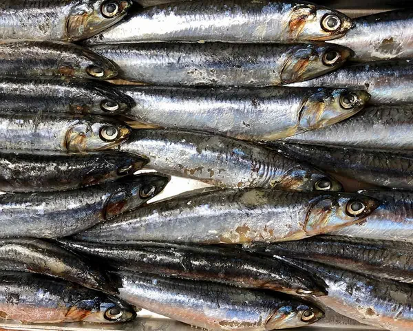 Omega 3