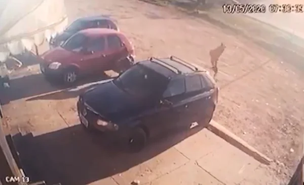 Homens são assassinados em Samambaia