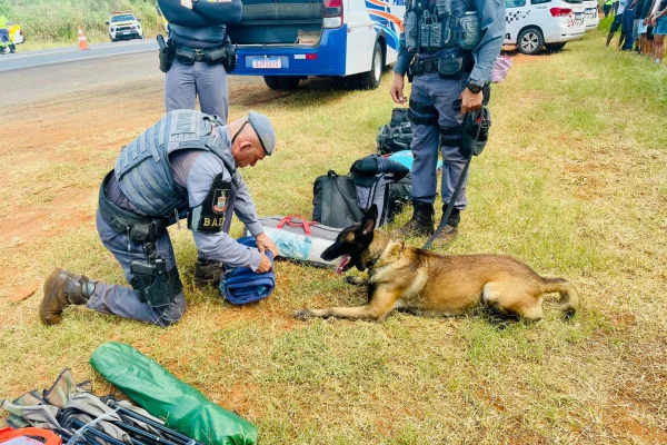 Foto colorida de policial militar verificando conteúdo de uma mala durante operação, no entorno de um festival de música eletrônica, no interior de São Paulo.