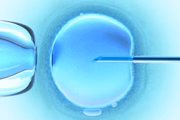 STJ decidiu que planos de saúde não são obrigados a custear fertilização in vitro