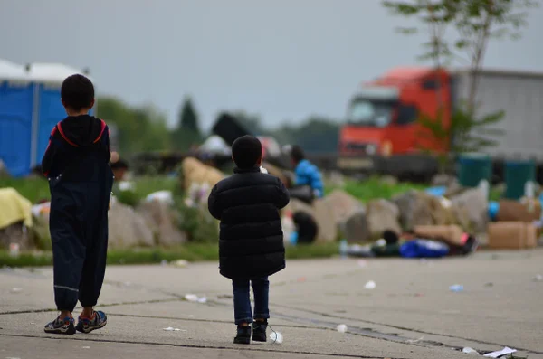 Acordo prevê cooperação entre Brasil e países envolvidos na crise de refugiados sírios