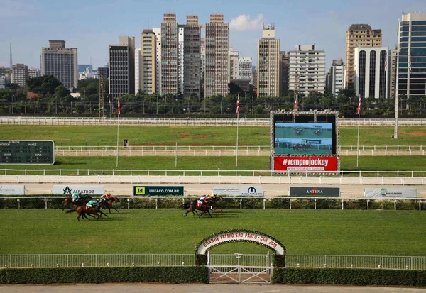 Câmara de SP cria CPI para investigar Jockey após denúncia de racismo 1 jockey 1