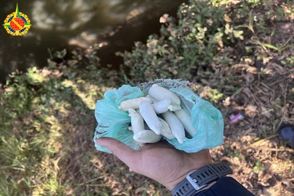Dupla no semiaberto é presa ao tentar levar drogas para a Papuda