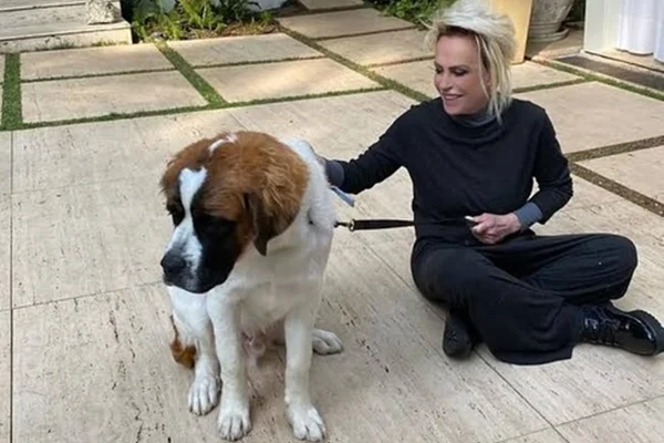 Ana Maria Braga lamenta morte do filho de 4 patas: "Nosso crianção" - Metrópoles