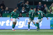 Jogadores do Palmeiras comemorando gol no Allianz Parque Jogadores do Palmeiras comemorando gol no Allianz Parque
