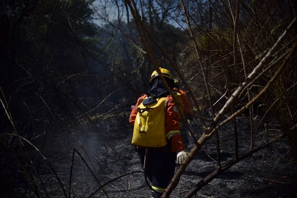 DF em chamas: fogo destruiu área 4 vezes o tamanho do Guará em 2019