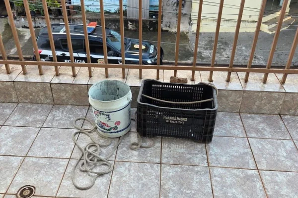 Imagem colorida mostra drogas e medicamentos distribuídos com balde em varnda no interior de SP. Metrópoles