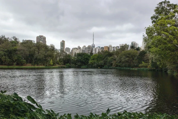 Imagem mostra lago do Parque da Aclimação, em São Paulo - Metrópoles