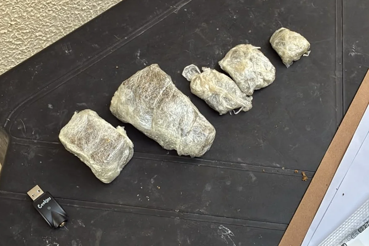 PCGO apreende drogas escondidas dentro de solas de galochas em operação - imagem 5 PCGO apreende drogas escondidas dentro de solas de galochas em operação - imagem 5