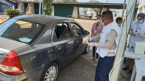 goias vacinacao contra raiva