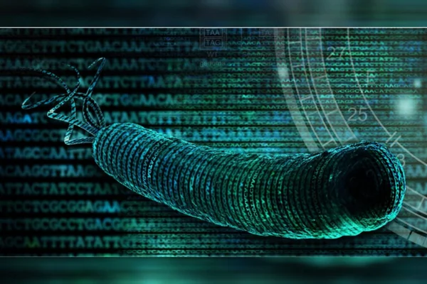 Bactéria sintetica com DNA alterado