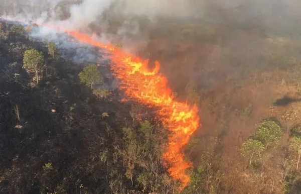 Chapada dos Guimarães: peritos americanos investigarão incêndios