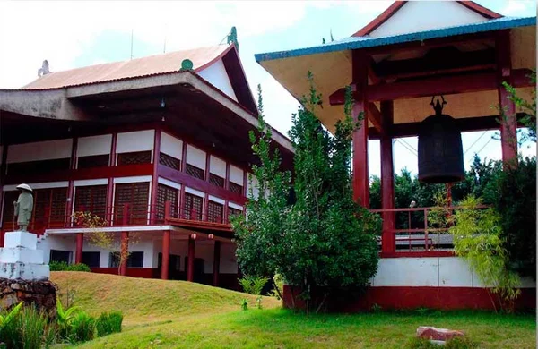 Saudades de Tóquio? 5 lugares para se sentir no Japão sem sair do DF