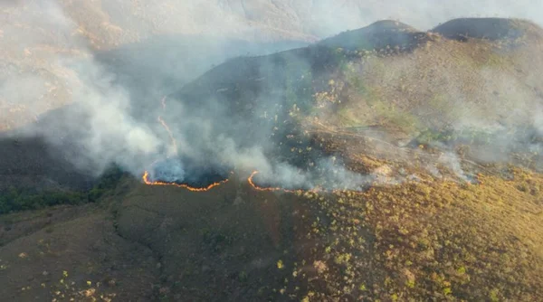 Incêndio já consumiu 11% do Parque Nacional de Brasília