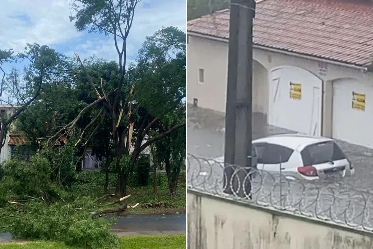 Temporal alaga ruas, derruba muros e causa estragos em cidade de MG