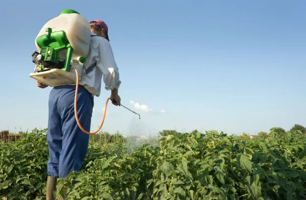 Aprenda a diminuir a quantidade de agrotóxicos nos alimentos