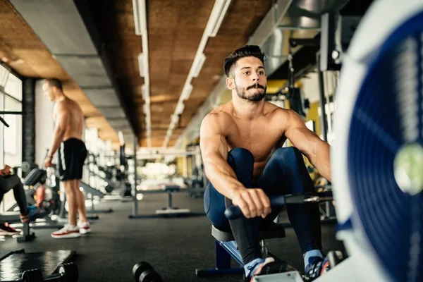 Saiba como aumentar naturalmente seus níveis de testosterona