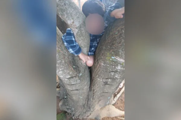 Criança presa em árvore entorno do df goias