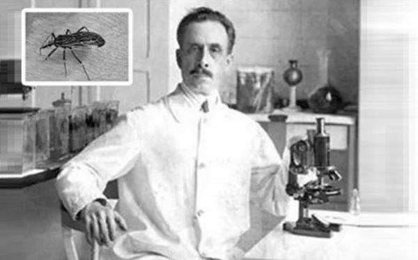 Oswaldo Cruz