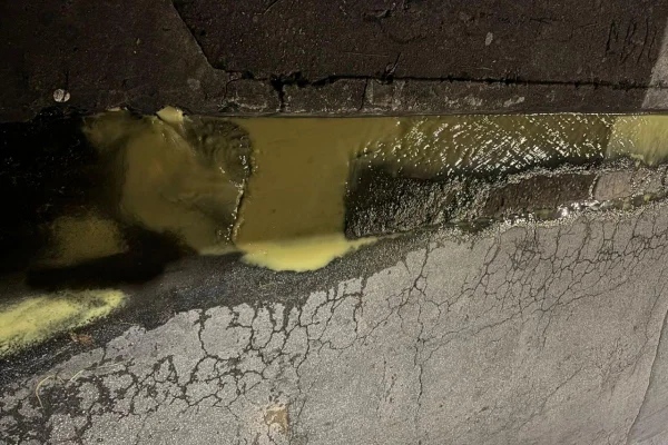 Fábrica da Bauducco em SP é multada por despejar água suja em via pública - destaque galeria Fábrica da Bauducco em SP é multada por despejar água suja em via pública - destaque galeria
