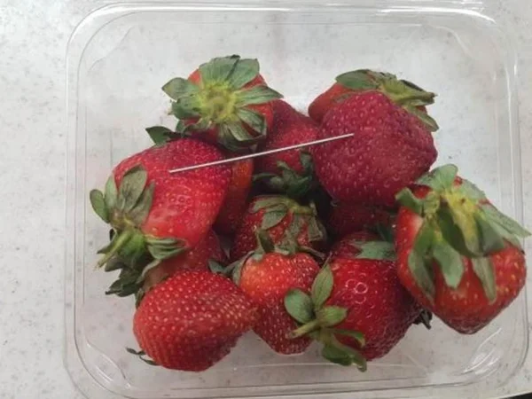 Agulha é encontrada em pimentão na Nova Zelândia