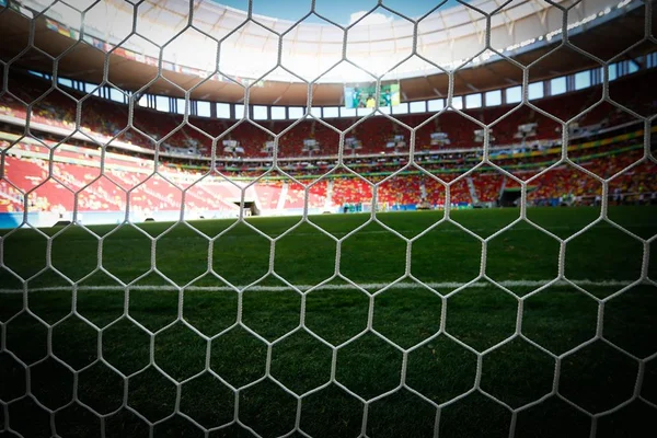 Veja os melhores do Brasileirão 2019 de acordo com o Cartola FC