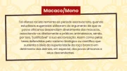 Termos que não devem ser usados Termos que não devem ser usados