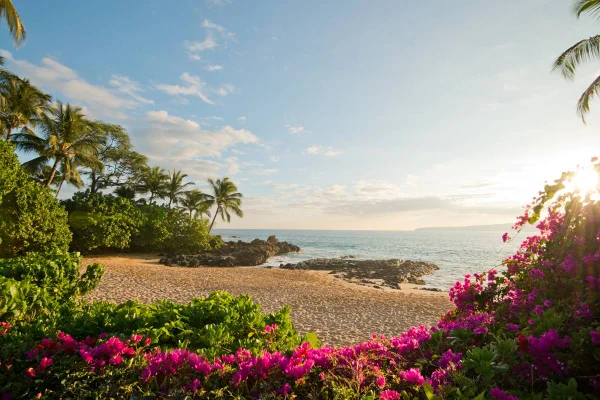 Foto colorida de lugar florido e com praia - Metrópoles