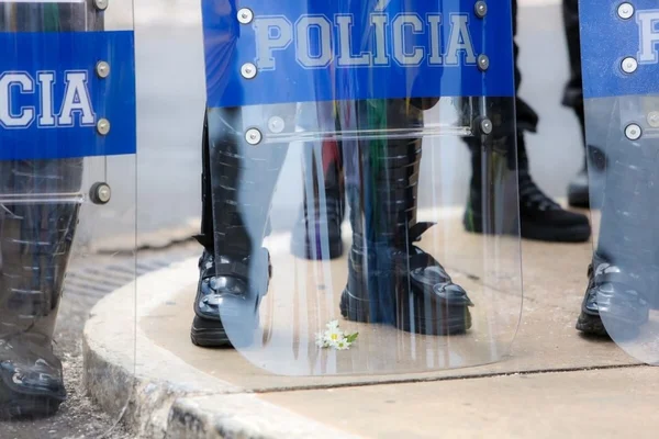 Brasília reúne policiais e especialistas em combater crime organizado
