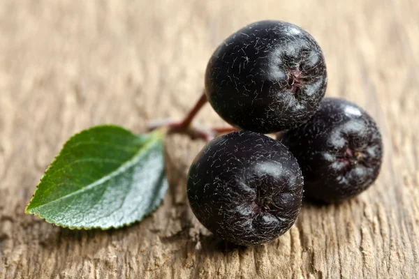 Arônia preta com folha isolada em fundo de madeira. Fruto conhecido como ouro negro