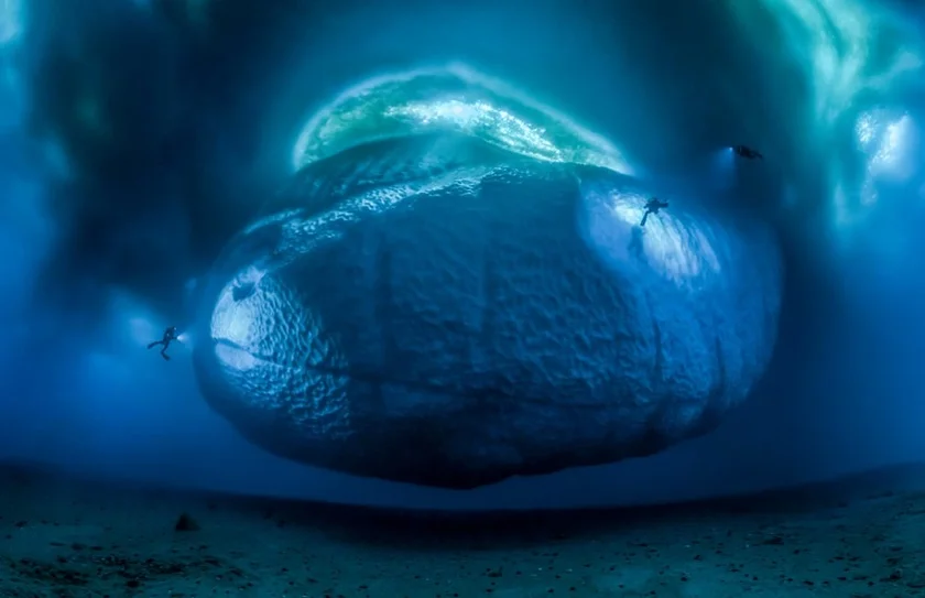 Earth’s Environments category - The Ice Monster by Laurent Ballesta Earth’s Environments category - The Ice Monster by Laurent Ballesta