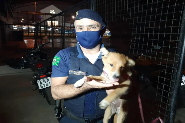 Morador de rua ferido pede para guarda cuidar do cachorro dele no PR