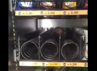 Rato em máquina de lanches