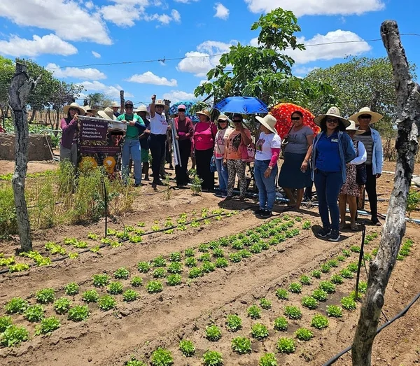 A Anater presta assistência técnica rural principalmente a agricultores familiares