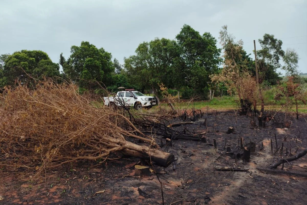 MapBiomas: 64% da área queimada desde 1985 já pegou fogo mais de 1 vez - imagem 2 MapBiomas: 64% da área queimada desde 1985 já pegou fogo mais de 1 vez - imagem 2