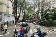 Segundo o CGE, nas próximas horas, as rajadas de vento podem atingir os 60km/h Segundo o CGE, nas próximas horas, as rajadas de vento podem atingir os 60km/h