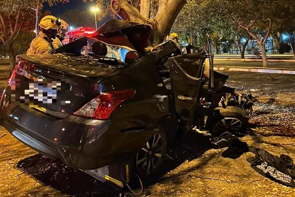 carro amassado em árvore